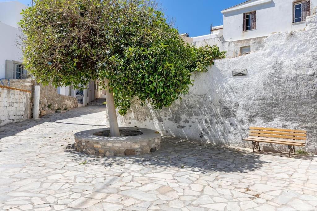 Avgerinos Villa Naxos City ภายนอก รูปภาพ